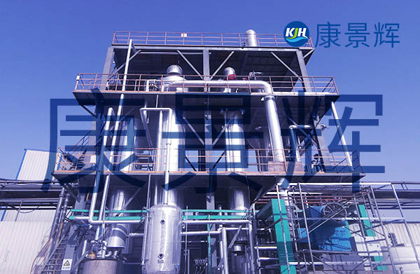 處理量6T/H的雜鹽分離雙效蒸發(fā)器