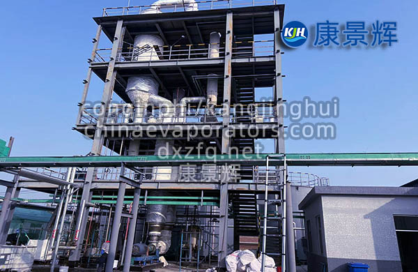 氯化鈉雜鹽雙效MVR蒸發(fā)器