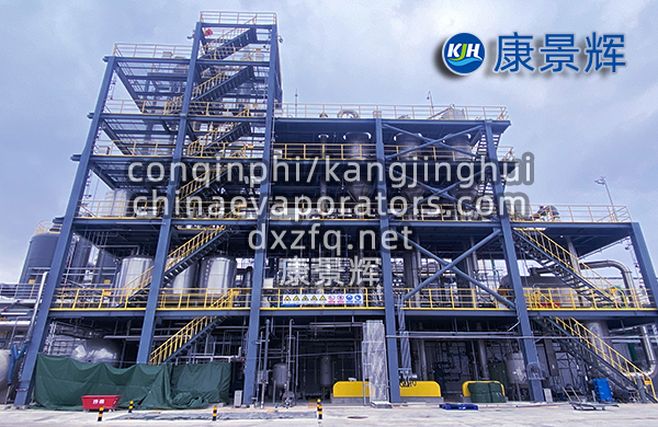 處理量29t/h硫酸鈉、硫酸銨預處理+蒸發分鹽+母液干化系統