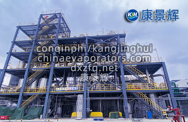 處理量29t/h硫酸鈉、硫酸銨預處理+蒸發分鹽+母液干化系統