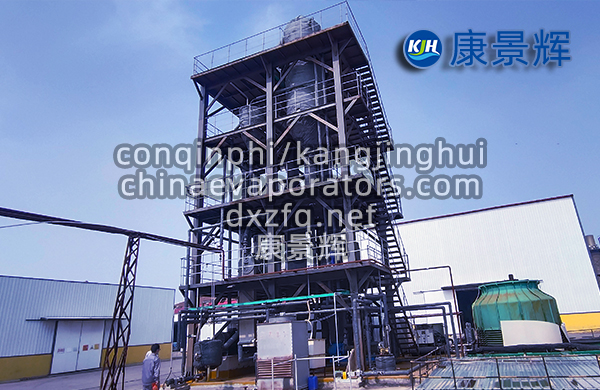 氯化鈉MVR強制循環(huán)蒸發(fā)器