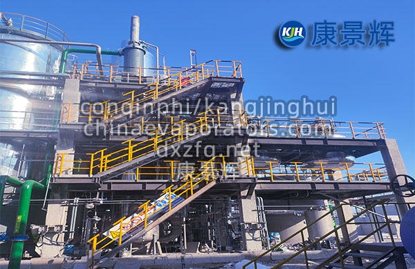 硫酸鈉母液干化蒸發(fā)器